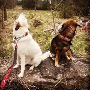 Meet your Posher, Karin